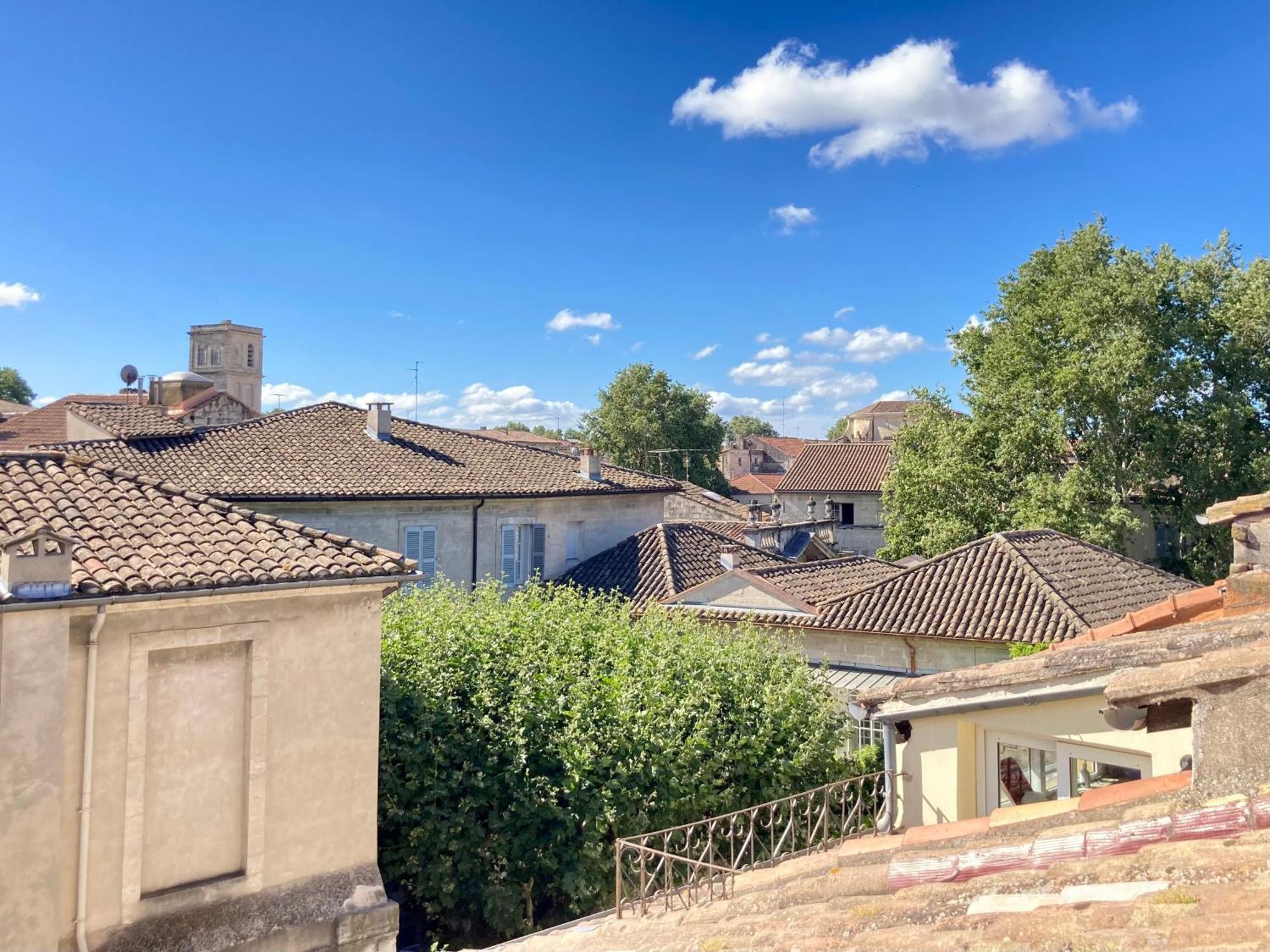 Le Petit Avignon - Chambres & Appartement A Deux Pas Du Pont D'Avignon Et Du Palais Des Papes Eksteriør billede